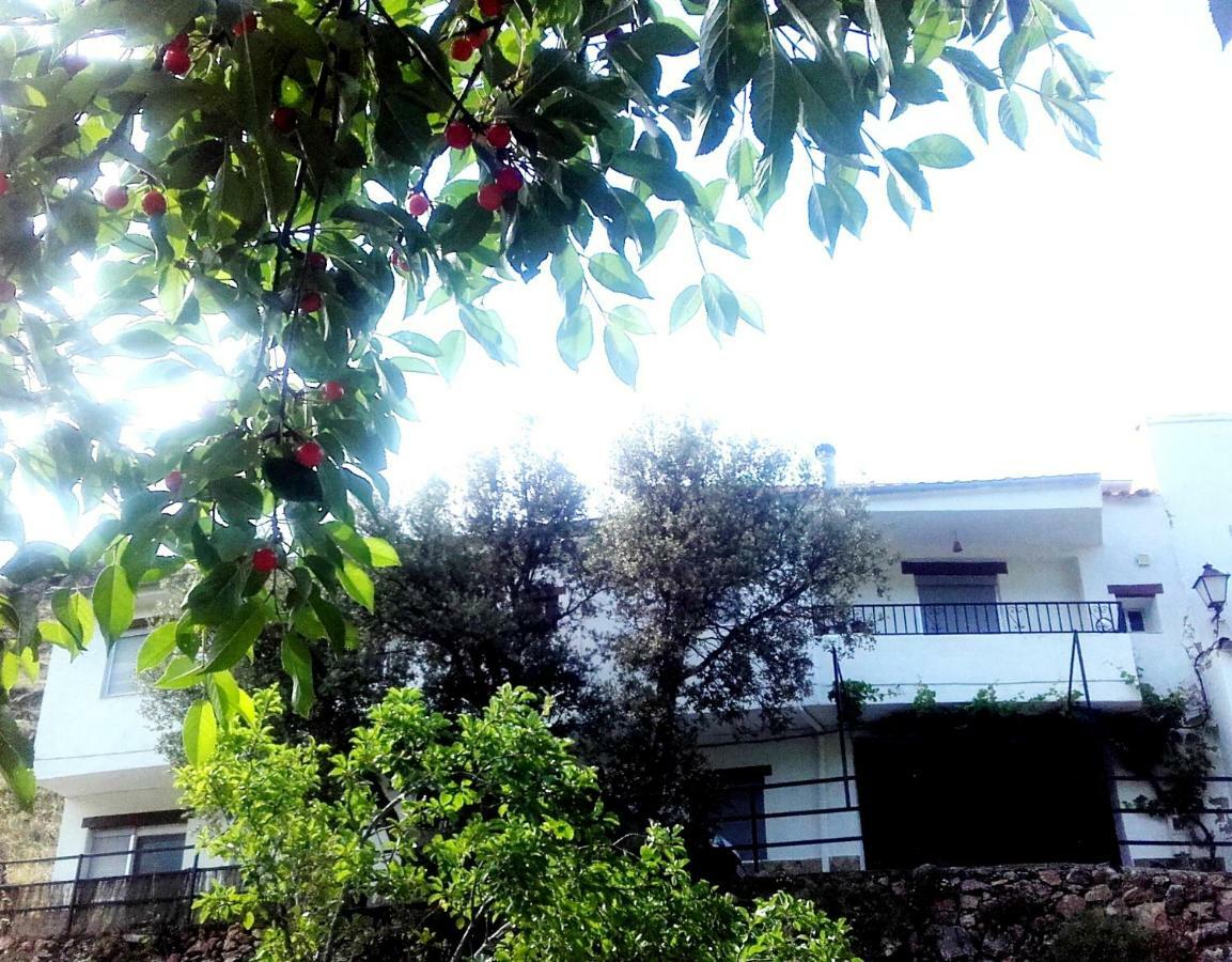La Maria De Tortas Guest House Paterna del Madera Exterior photo